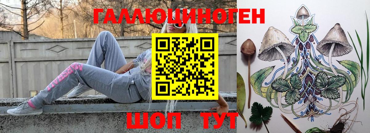 Хабаровск  Псилоцибиновые грибы GOLDEN TEACHER  Вход с VPN 
